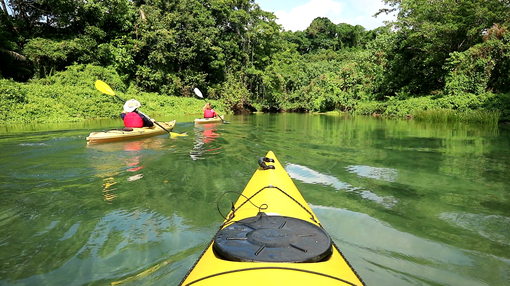 Island Time Kayaking guided tour