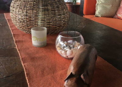 Wooden carved pig on coffee table at Deco Stop Lodge, Vanuatu