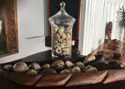 Pretty shells at Deco Stop Lodge