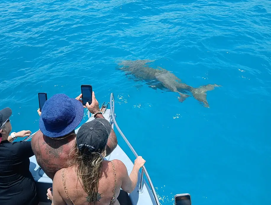 Best-Snorkelling-in-Santo-Vanuatu-and-Dugong-Tour