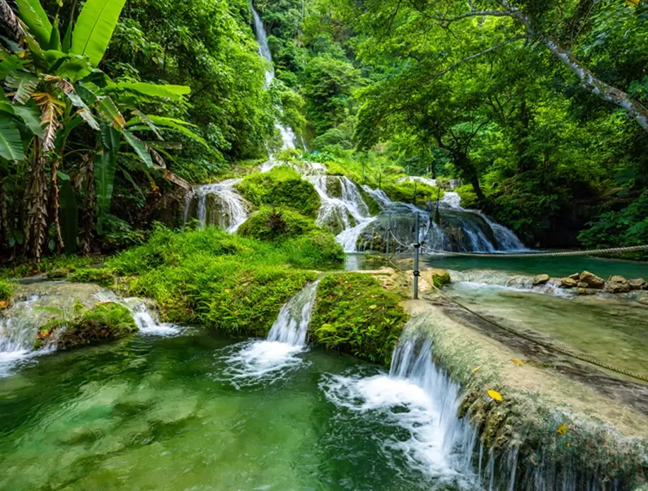 Freshwater-Rivers-and-Rainforest-Trails Freshwater-Rivers-and-Rainforest-Trails