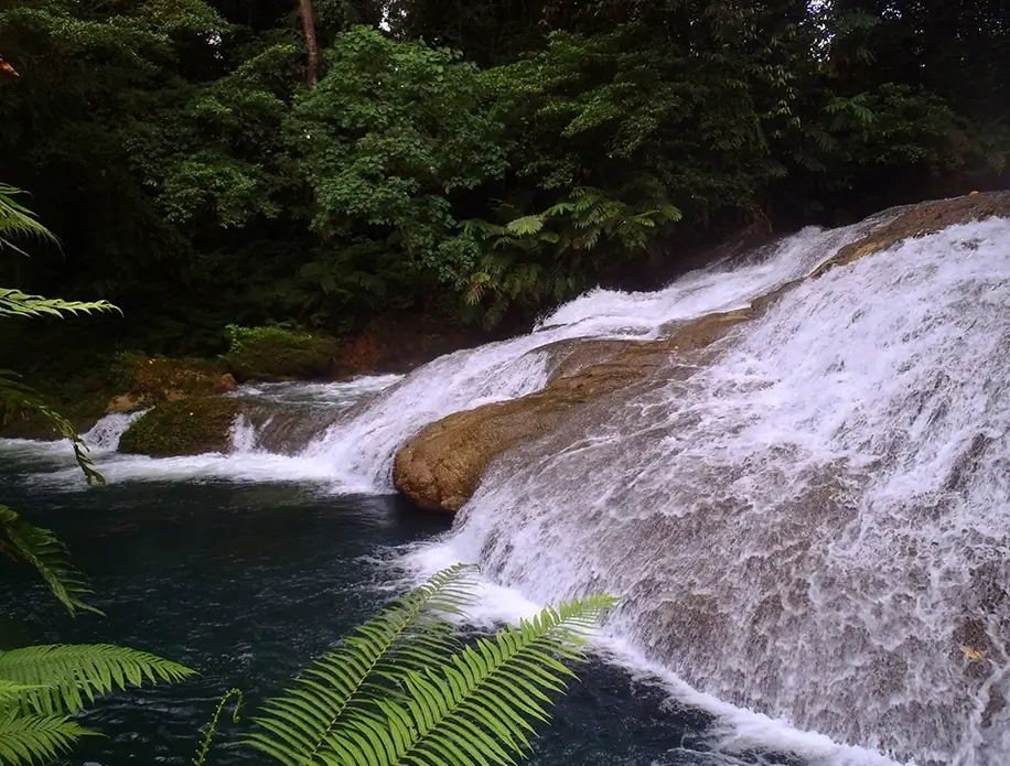 Mt Hope Waterfall Adventure Mt Hope Waterfall Adventure