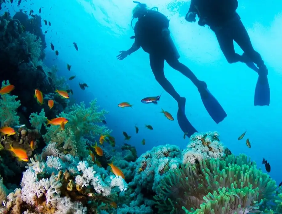 diving-vanuatu