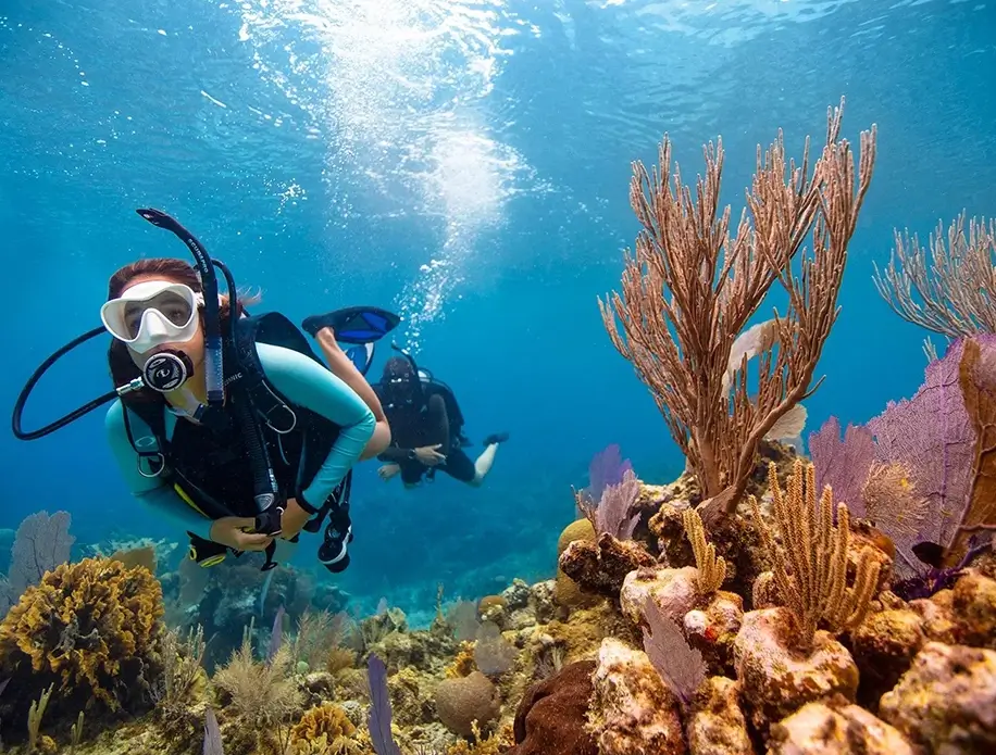 million-dollar-point-allan-power-dive-tours-